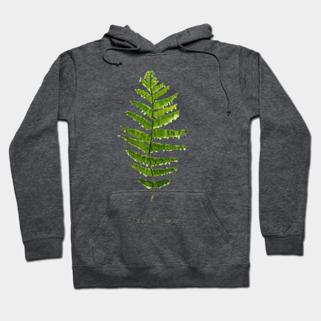 Ostrich fern watercolor Hoodie by colorandcolor